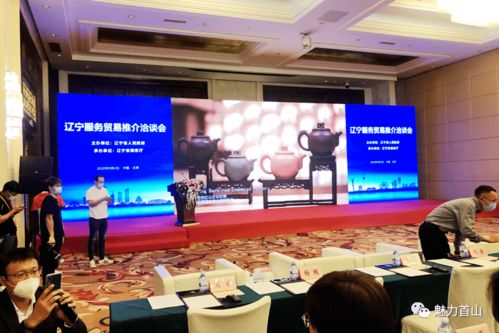 縣長羅奎亮赴北京參加 中國國際服務貿易交易會