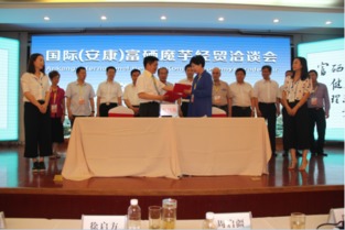 中國富硒魔芋之鄉安康 釋放魔芋產業新魔力